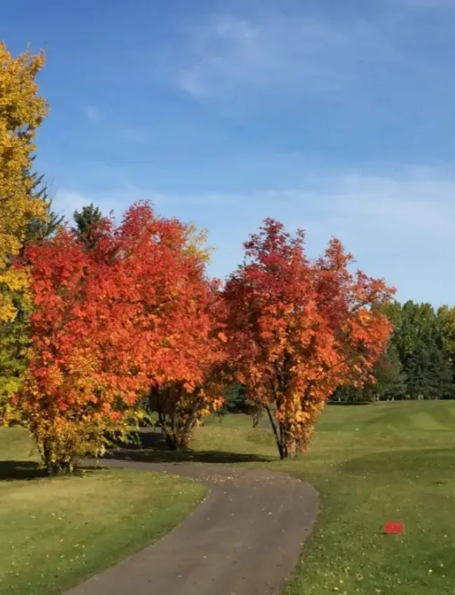 grande prairie golf & country club 54