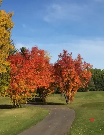 grande prairie golf & country club 71
